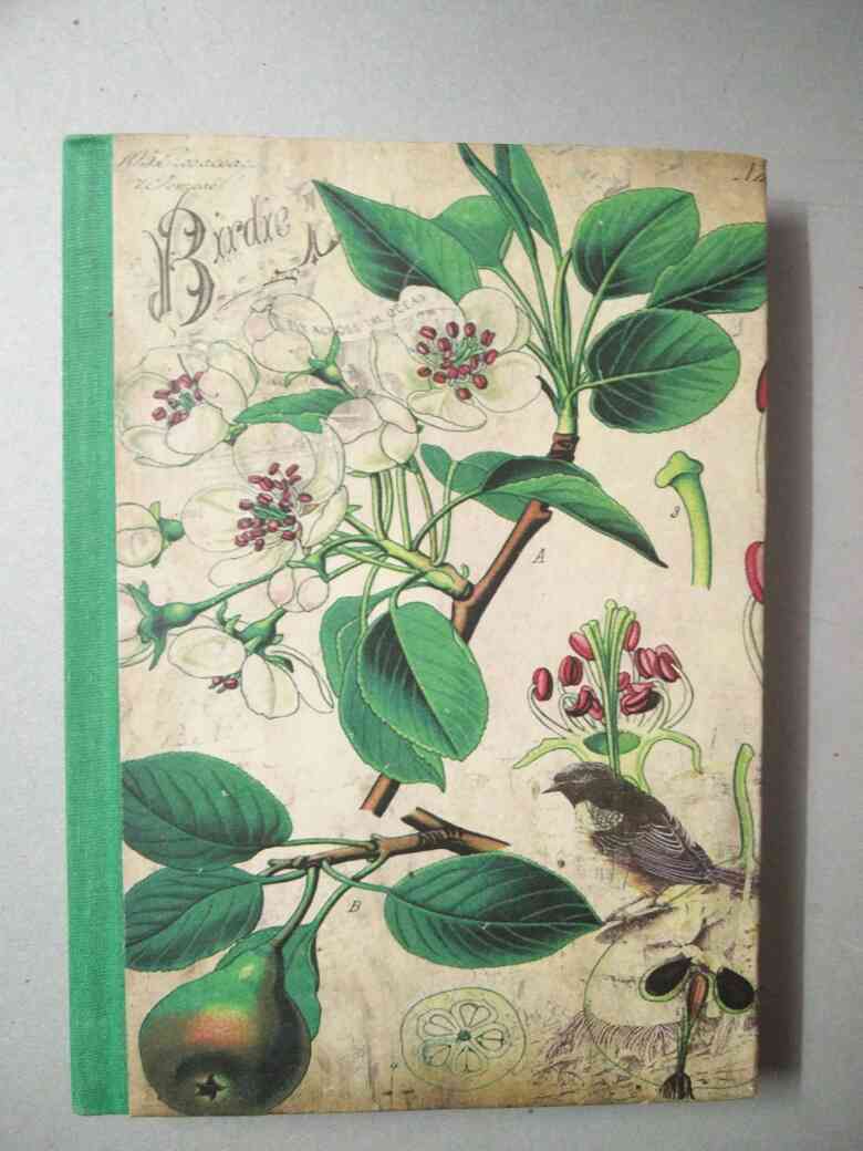 Handmade paper notebook with bird
hand painted design
size - 7