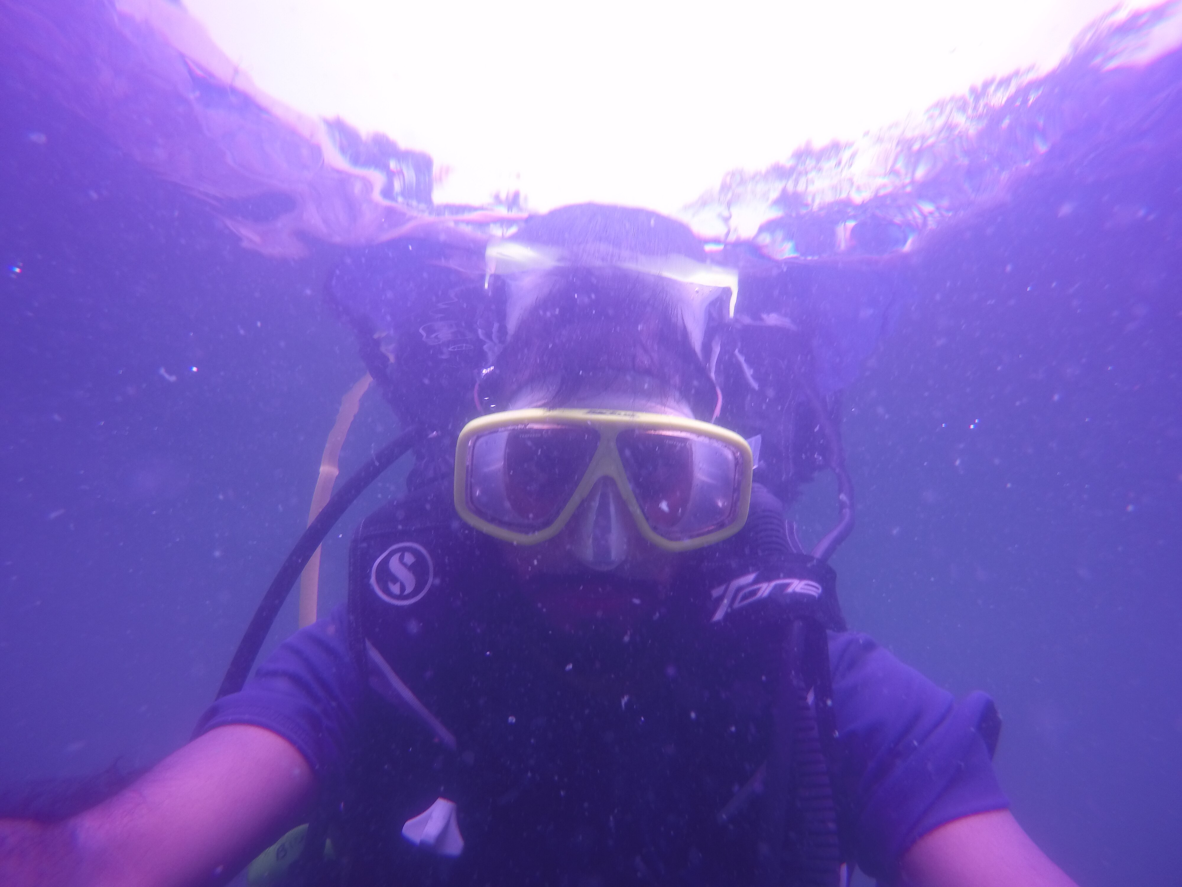 Scuba diving Mask, INR. 2000/- and above