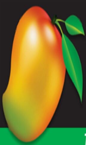 0% Pesticides, 100% Natural
Maximum Nutrition
We don't use any preservatives, pesticides, or harmful fertilizers. This not only differentiates us from the competitors, but also ensures that our consumers get the highest quality of nutrition from our mangoes with no side effects