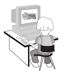 Fundamental IT, window, MS word, Spreadsheets, Using web