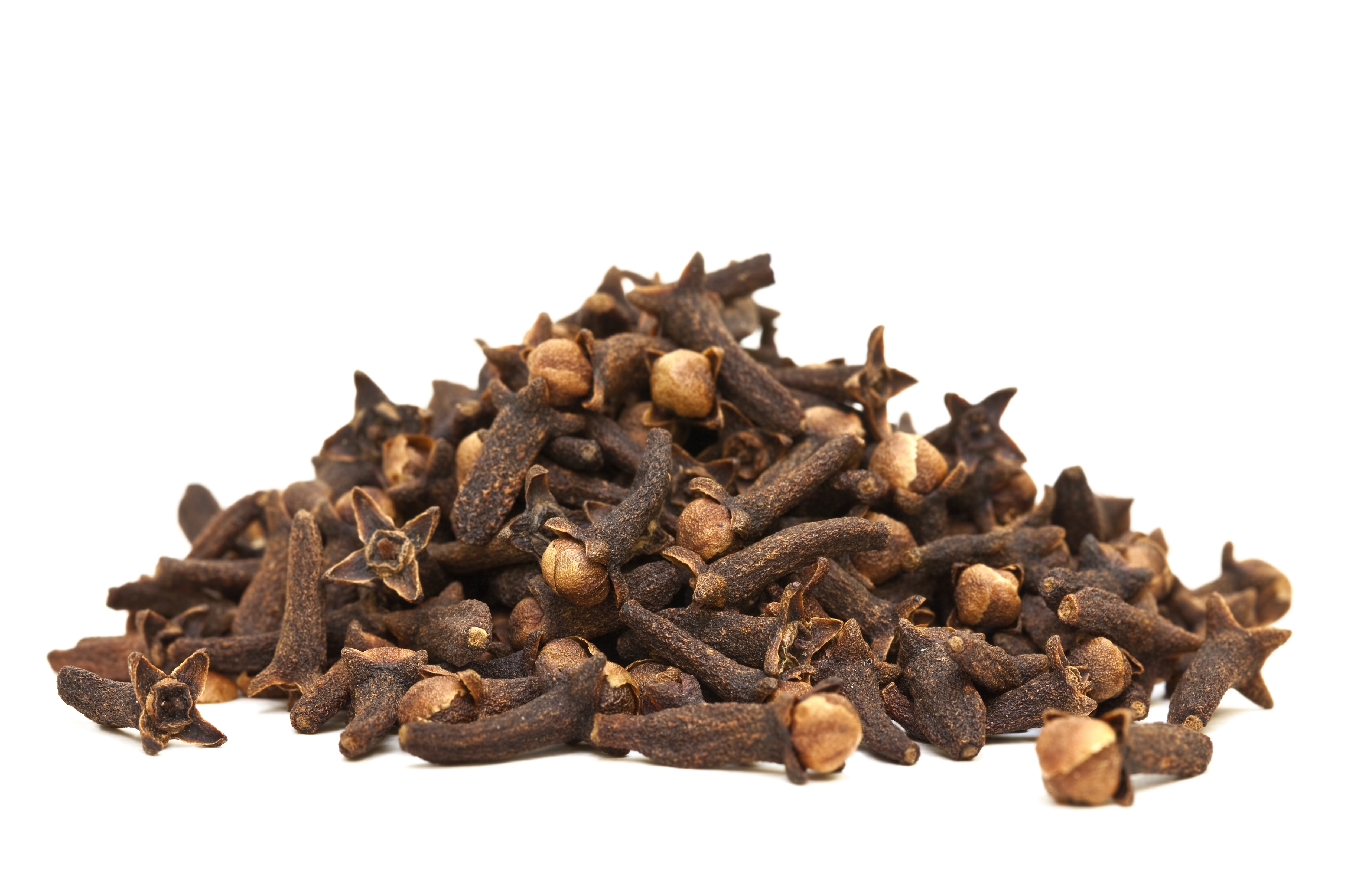 DESCRIPTION:
Clove is originated from Indonesia & Malacca islands. It is with red brown color; Cloves are taken from tree & dried. It is widely distributed in Greeks, Roman & China. Clove is an evergreen tree that can grow up to 8-12 m tall, Clove require warm & humid climate. It requires deep loam soil oil for growth.
Botanical Name: Syzygium aromaticum.
PROPERTIES:
It is Colorless to Pale yellow with Strong spicy smell, Watery in viscosity
EXTRACTION:
Clove oil can be extracted from the leaves, stem and bud by water distillation, containing the desired lower percentage of Eugenol.
CONSTITUENTS:
The chemical constituents of clove oil are iron, calcium, potassium, phosphorous, vitamin A & C, hydrolic acid.
BLENDING:
Clove oil blends with benzoin, lavender, ginger, sandalwood, basil and clary sage.
USES:
Clove oil is used for cuts, burns, bruise & acne.
It is used in Arthritic pain, rheumatism.
Dentist give advice for the use of clove oil as it helps in toothache & mouth sore.
It is good for digestive system as it is very effective against vomiting & diarrhea.
Clove oil is used to treat against flatulence, bronchitis, asthma & tuberculosis.
Clove oil can be used to reduce anxiety, mental exhaustion, fatigue & tension.
Clove oil can be used as massage oil in cream and lotion.
It is very effective against leg ulcer and skin sore.
Clove oil acts as anti aging agent as it helps to remove wrinkles and facial rejuvenation.
Due to its soothing effect and powerful aroma clove oil is used in making soap.
Due to its powerful aroma and health benefits clove oil is used in food and flavoring. Clove oil added to split pea, bean soups and chili to give a good flavor