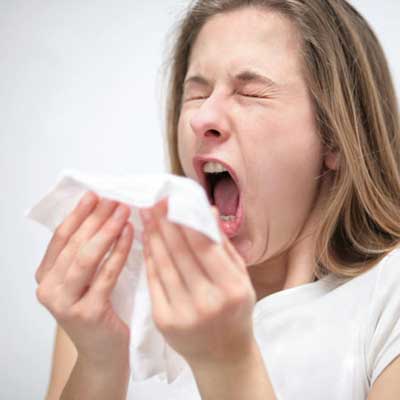 AYURVEDIC CURE FOR ASTHMA
Is asthma curable? Is there any path for that? – are some frequently asked questions from many.
Why not? Says Dr.S.S.Hiremath, the skilled Ayurvedic Practitioner of Shree Dhanvantari Ayurveda Hospital situtated at Rajajinagar Entrance, Bangalore, has describing an Ayurvedic approach for Asthma.
Asthma is a long-lasting (Chronic) disease of the lungs is inflames your airways (Bronchi) seriously, which is characterized by-
1.Shortness of Breath/difficulty in breathing
2.Feeling tightness or pressure in the chese
3.Frequent upper Respiratory infection & wheezing
4.Coughing – Ususally dry, light and non-productive
In today’s stressful modern urbanized living increasing the incidence of asthma considerably children suffer more than adults and more common in boys than in girls.
Asthma attacks are not all the same. Some are worse than other. Many people with asthma have problems only occasionally, but others struggle with it everyday. It can be life threatening particularly if it is not treated adequately and promptly. So taking care of asthma becomes mandatory.
Ayurvedic insight into asthma has a broader perspective. It classifies the asthma as an acutely Kaphic disorder with simultaneous accumulation of ama (toxin which produced by undigested and uneliminated food particles) at Respiratory system brought on by excessive mucous and phlegm. Although the human body has a great intelligent, natural healing system that is capable of rejuvenating itself, the formation of toxins reduces this natural capacity. So, the versatile approach of Ayurveda always focusing the root cause of disease. That means the therapy does not attack on Asthma, but attack on reasons causing.
TREATMENT:
Ayurveda emphasize on treatments to eliminate such toxins and balancing the Dosha.Some such treatments are -
1.Vamana (Therapeutic Vomiting or emesis) &
2.Virechana (Purgation therapy)
VAMANA is the procedure in which we eliminate the waste product (kapha toxins) which is collected in the body and respiratory tract from its roots (stomach) through the mouth. The course of treatment involves loosening and mobilizing the toxins in an effort to finally eliminate them. After vomiting the patient will feel very comfortable, most of congestion, wheezing and breathlessness will disappear along with the clearing sinus. As the process of purification is done from the roots the chances of attacks is come to control.
After Vamana, the Virechana therapy and internal medicines plays a role to stop further production of toxins and strengthens your immune system, make the respiratory system more resistant, enhance our self-reliance, vitality and mental clarity. Treatment for children below 14 years and aged people will include only internal pills and syrups.
For further details please contact : 23505777, 9341226614