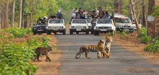 Duration : 06 Nights / 07 Days
Destinations : Delhi - Corbett National park - Kausani - Nanital - Delhi
Day 01 : Delhi - Corbett National Park - 290 kms
Arrive Delhi and transfer to Corbett National Park(290 kms / 6 to 7 hours drive). Named after Jim Corbett, the legendary hunter naturalist, the Corbett National Park, is believed to be one of the finest habitats of the tiger in India. Nestled in the foothills of the Himalayas, the park extends over a tract of 520 sq. km. Arrive and check in hotel. Dinner and night stay at Corbett.
Day 02 : Corbett National Park
After breakfast leave for Jungle Safari in National Park, Corbett. Corbett is haven for tigers. Dinner and night stay in Corbett.
Day 03 : Corbett - Kausani (190 km / 05hr drive)
After breakfast leave for Kausani via Ranikhet sightseeing. A picturesque hill station famous for its scenic splendor and its spectacular 300 Km-wide view of the Himalayas. Kausani also offers other scenic and beautiful spots for sightseeing. Snuggled amongst thick, dense pine forests, atop a narrow ridge, the view of the snow covered Trishul and Nanda Devi is so vivid, that one gets a feeling of the snow being within touching distance. Arrive and check in hotel. Evening sunset view of Himalayas. Dinner and night stay in Kausani.
Day 04 : Kausani
Morning sunrise view. After breakfast full day sightseeing at Kausani covering ashrams, temples & museums. DINNER & OVERNIGHT Stay AT HOTEL.
Day 05 : Kausani - Nainital - 117 kms
After breakfast leave for Nainital (117 kms / 03 hours). Located at a height of 1940 meter above sea level and placed, around the beautiful lake, Nainital, is the charming hill resort of Nainital. Surrounded by seven hills, this attractive hill station was once the summer capital of Uttar Pradesh and is expected to become the future capital of the new state of Uttaranchal. Enroute visit Almora. Arrive and check in hotel. Dinner and night stay in Nainital.
Day 06 : Nainital
After breakfast half day free for boating at Naini lake and leave for sightseeing covering Bhimtal, Naukuchiayatal and Sat-tal. Evening free at leisure. DINNER & Stay overnight.
Day 07 : Nainital - Delhi - 300 kms
After an early breakfast drive to Delhi (300 kms / 08 hours). On arrival in Delhi, transfer to railway station or airport. Tour ends with sweet memories.