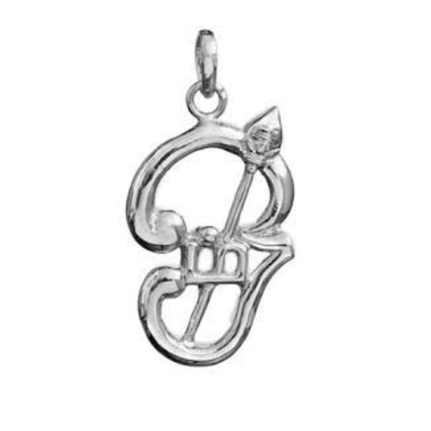 Tamil (OM) Silver Pendant.By- AMMAN https://www.amazon.in/dp/B076CSGNVV/ref=cm_sw_r_wa_awdo_Gv59zb2PSD28M
