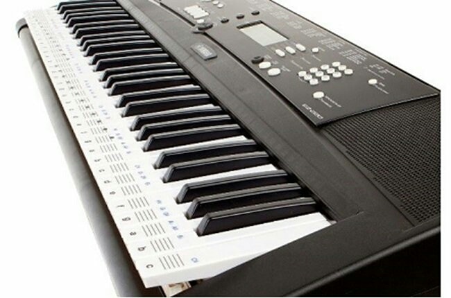 Learn Keyboard/ Synthesizer in Lucknow.
The term (electronic music) synthesizer (often abbreviated as synth, also spelled synthesiser) covers a wide range of electronic instruments electronic musical instrument and devices that generate and process electronic signals used in music, sound design and related audio fields, such as research.
Hobby keyboard course is of 3 months minimum and you extend this course up to 1 year. You can learn and play your favorite songs.