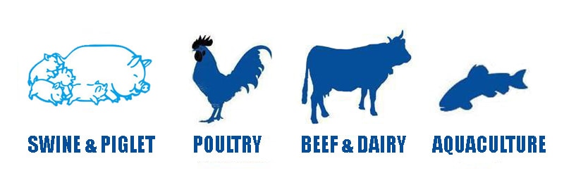 1. Minimizing the risk of entering unsafe specialty feed ingredients and their mixtures in the feed and food chain,
2. To implement the objectives and providing measures to meet the feed safety regulatory requirements are met.
