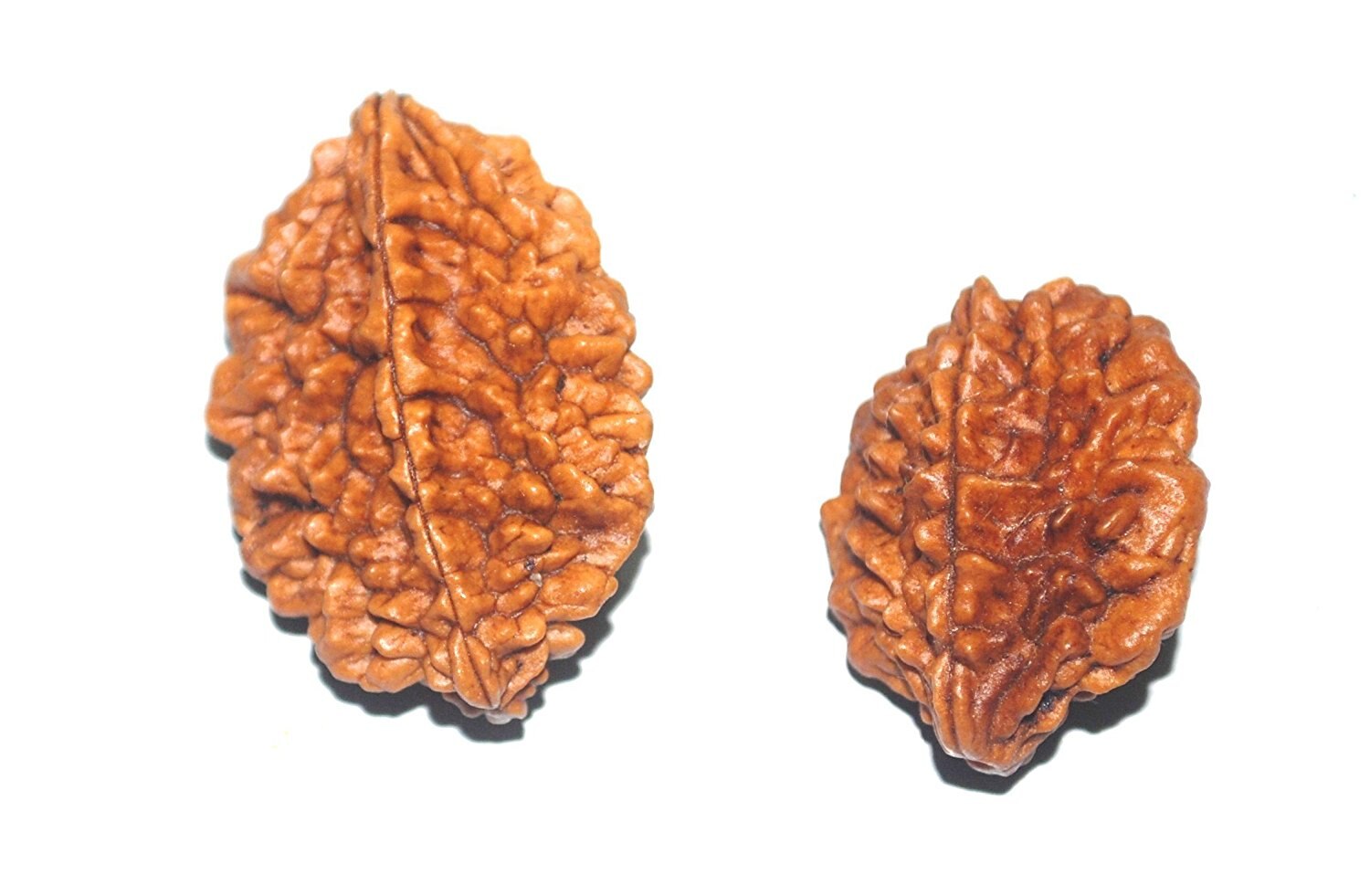 Price : Rs. 480
