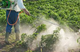 A herbicide is a chemical substance used to control or manipulate undesirable vegetation, especially weeds. Herbicides are extensively used in gardening, farming, and landscape turf management.
Herbicides are classified into two categories: selective and non-selective. Selective herbicides kill specific unwanted plants while leaving desirable vegetation relatively unharmed. Non-selective herbicides (total weed killers) kill all or most plant species.
A herbicide can be applied directly to the plant, applied to the soil, or sprayed onto the foliage. Herbicides are applied before, during, or after crop planting in row-crop farming to maximize crop production by diminishing the development of unwanted plants. Herbicides are also applied in ponds and lakes to control aquatic plants, in forests to prepare logged areas for replanting, and to golf courses, lawns, parks, and other areas to clear out unwanted vegetation.