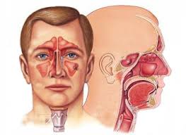 Our hospital provides treatments for all kind Endoscopic Surgery of Ear, Nose and Throat Diseases – Auroplasty, Tympanoplasty, Mastoidectomy, Septoplasty, Nasal Endoscopic Surgeries, Tonsillectomy, Direct Laryngoscopy, Autostatic Microlaryngoscopy.