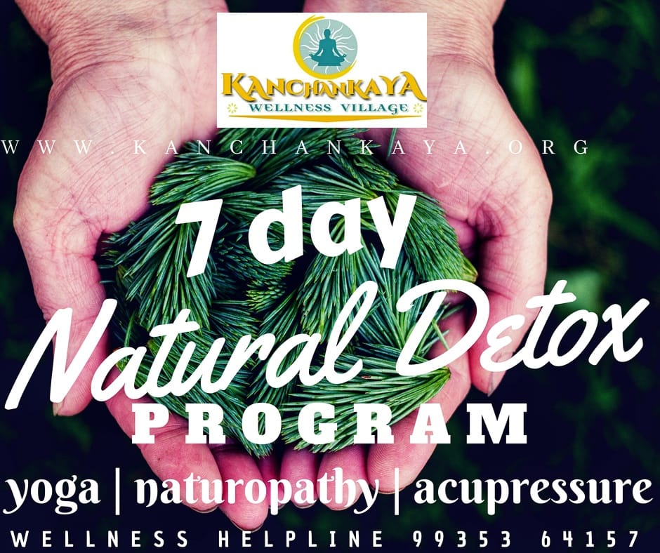 The Need :
Our everyday lives are so stressed that the only response to stress in the body, is the accumulation of more and more toxins. Any ailment that the body develops, from a migraine, muscle pain to cardiac problems, diabetes or cancer, it is directly or indirectly related to poisonous toxics inside the body. It not only affects our physical body but also the mind and is the prime reason for depression and unhappy lives across the globe.
The 7-day Wonder Detox Program :
With more than 500,000 treatments in the past 25 years, our experience with these toxics and their work has been immense. We are proud to have healed age-old arthritis, anxiety, cardiac and general body ailments through our detoxification naturopathy.
Why 7 days?
Unlike any other health corporate, we believe in honest and beneficial treatments.
According to Science, it takes only 7 days to flush out the minimum basic amount of toxins and prepare a ground for a healthy body, if the lifestyle is taken care of. It is a crash course of Detoxification!
How is it done?
The 4 pillars of our program are :
1. Internal Cleansing
2. Internal Nourishment
3. External Cleansing
4. External Nourishment
1. Internal Cleansing :
Cleansing the 3 power centers of the body - Brain, Stomach, and Intestines. The methodologies based on Naturopathy and Panchakarma Yoga coupled with Liquid Dynamic Sciences, clean the whole system on a molecular level. Instant results guaranteed!
2. Internal Nourishment :
Our range of naturally procured juices from the villages and jungles of their habitat from across the nation, miraculously heal and develop robust immune systems. These juices and arkas are administered based upon individual customized need or ailment.
3. Body Engineering :
From Ayurvedic oil fortified fomentation, Swedish and ayurvedic detox massages to herb-infused mud packs and earth therapies. External Cleansing gives you relaxation and a great personality guaranteed!
4. Mind Engineering :
Pranayam & Meditation : To let the mind experience what the body is getting relieved of.
Sound Therapy - For the first time ever, we are using specific frequency based treatments to induce relaxation, healing and meditation. A magical experience indeed!
CONTRIBUTION - INR 7000/-
The Inner Journey Program : (Optional)
6 hours of counseling and soul healing program .
Brought joy to more than 100,000 people worldwide.
Based on the philosophy of Hope and Madness.
Conducted by Swapnil Tewari - Ambassador-UNESCO - Forbes 30 under 30 & International Peace Awardee-2018
CONTRIBUTION - INR 3000/-
(the proceeds from the same will go into bringing Hope to people who have none.)