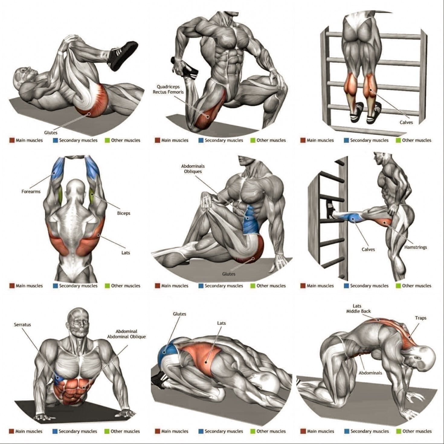 This will include an exercise routine or workout chart to the Clients. Changes in routine made monthly or fort nightly (This would again vary from person to person)