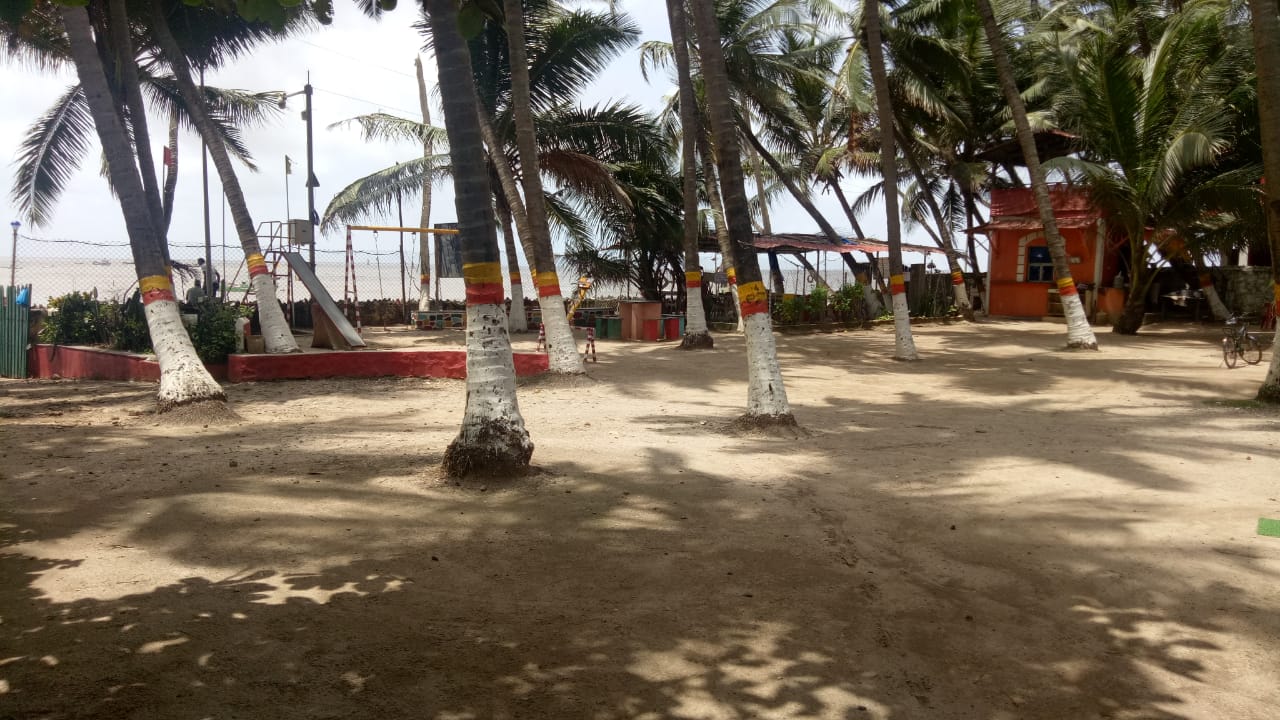 Special Destination Wedding Package available.
For Guests 100 & above 2 complementary rooms with open Sea View Lawn and Buffet Meal.
Packages starting from 950 & above.