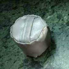 insulation Insert made of Fiberglass cloth Stitched with HT resistant thread. Filled with Mineral loose wool, Glass wool (100 to 128 Kg / Cum Density). Suitable for the Temperature up to 680 deg. Hand Strap make easy insertion and removal at the time of inspection of piping & vessels on heights.