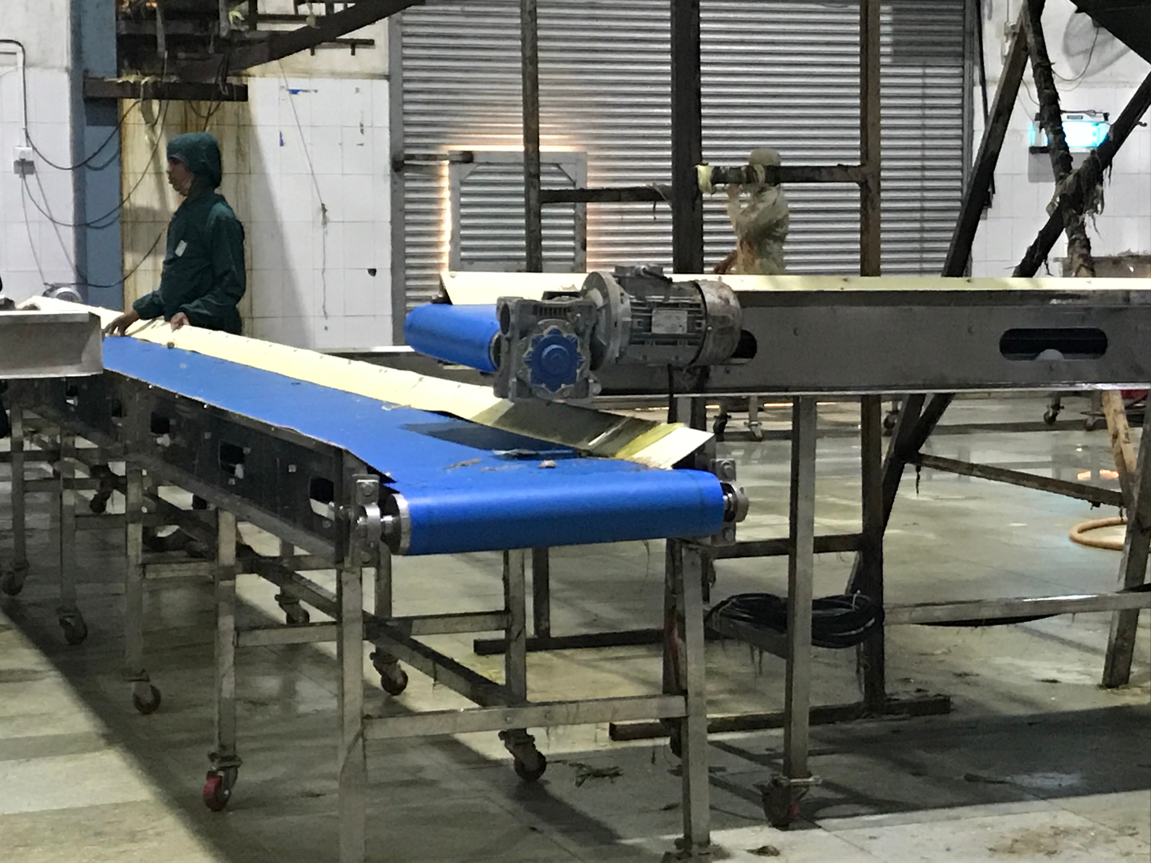 Anton Stainless Stee