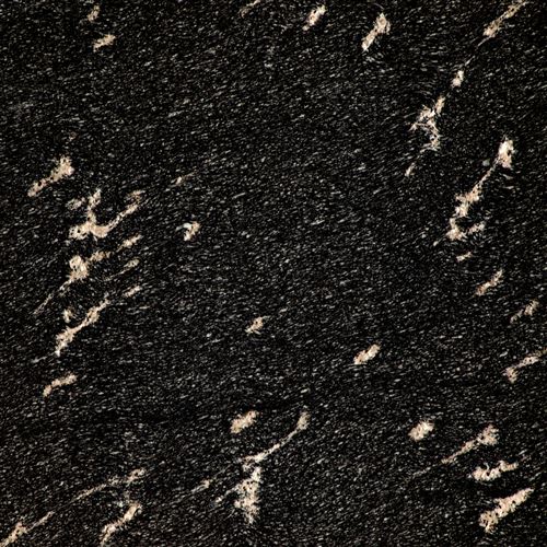 Fish Black Granite a