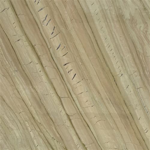 A wide variety of co