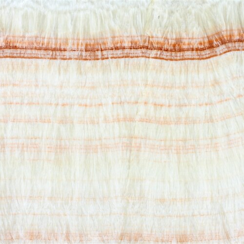 Product	    Golden W