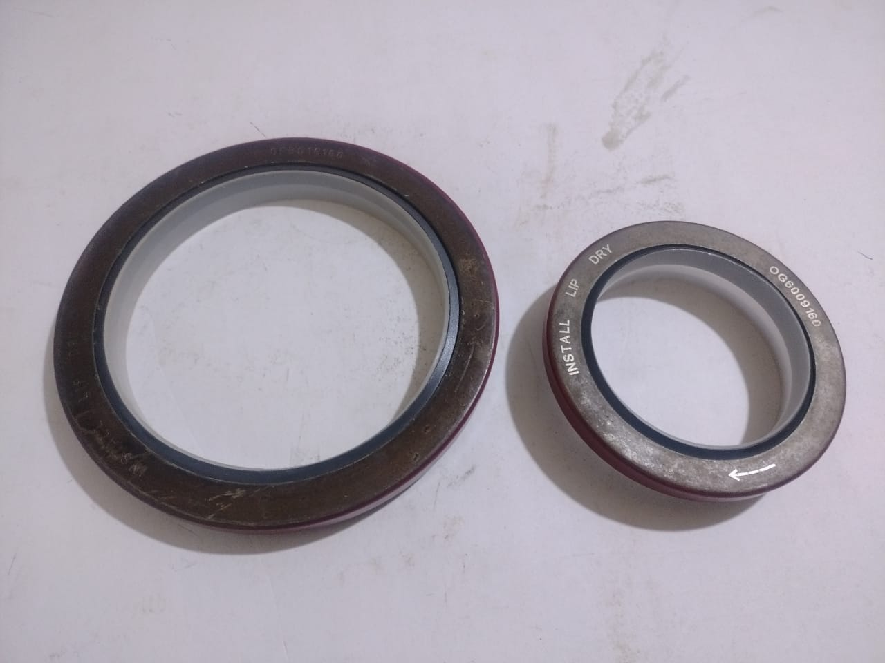 OIL SEAL  (1 SET) FR