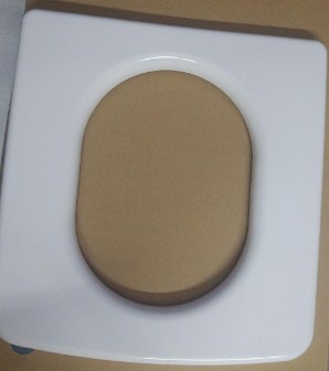 Seat with Cushion