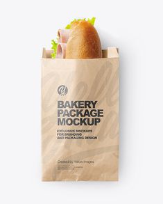 Brown Paper Envelope