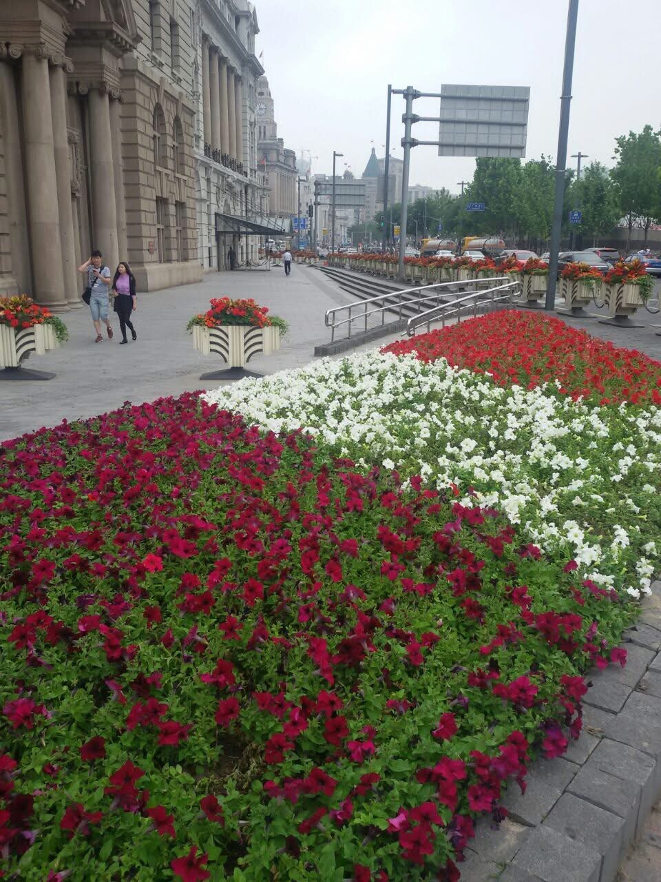 Landscape Developmen