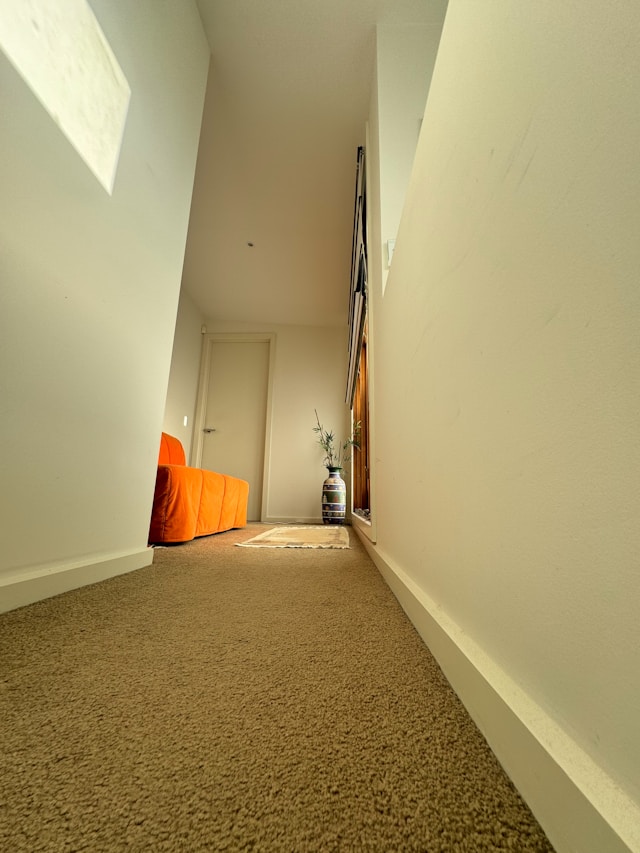 Premium Carpet Floor