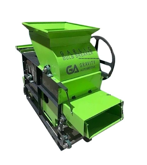 A GA's Mini garlic b