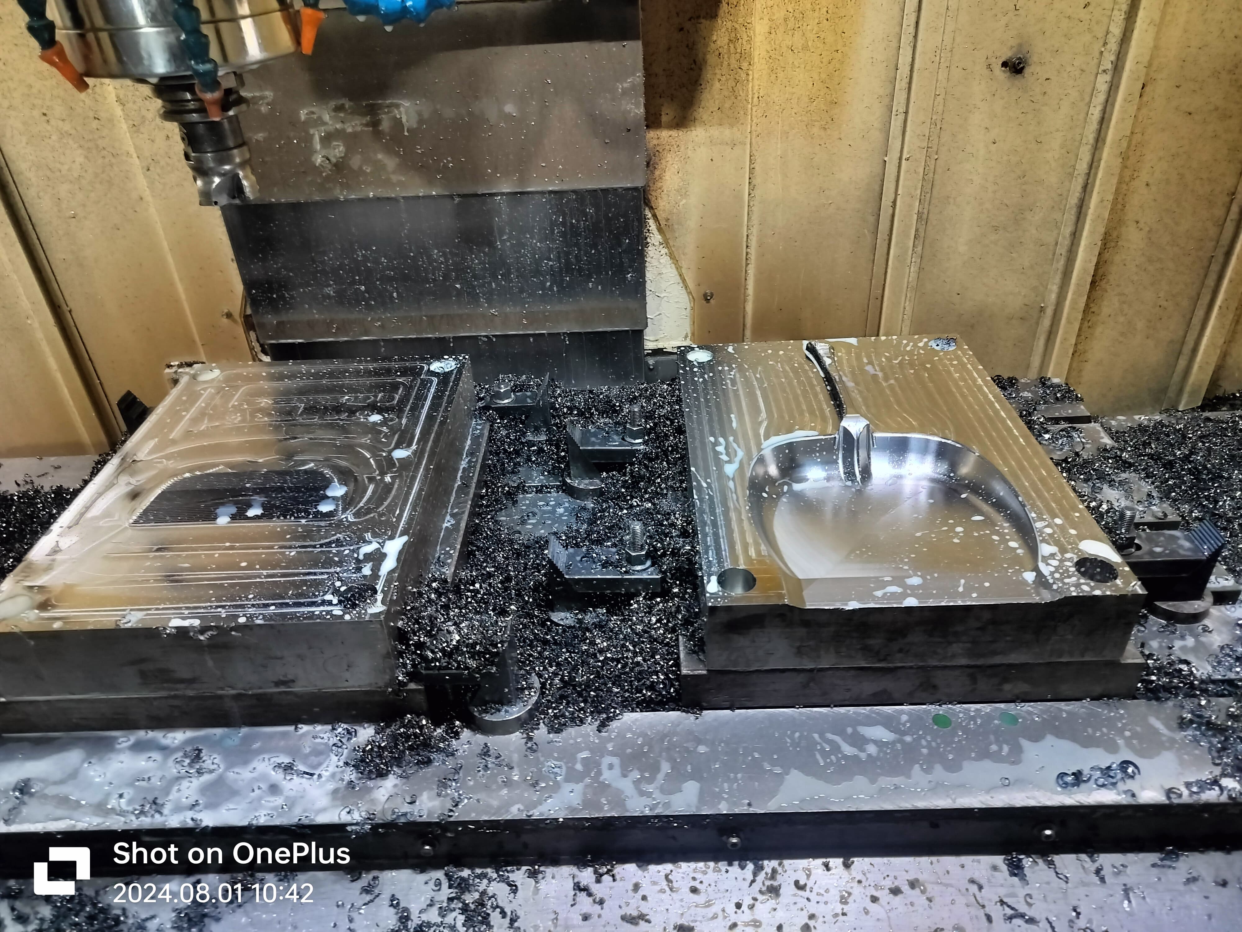 Household moulds are