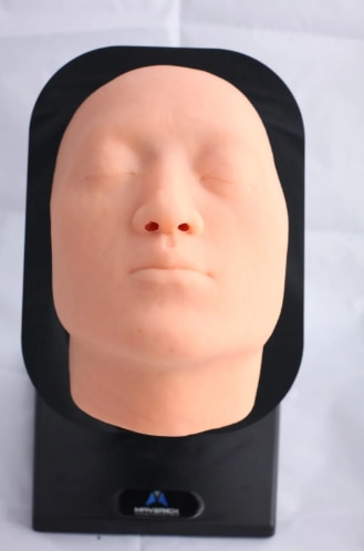 The Face Simulator i