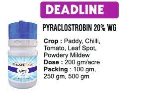 :ЁЯМ╛ Bhavya Industr