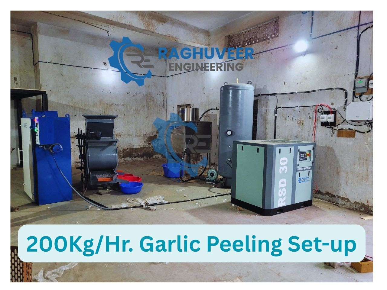 Electric Dry Garlic