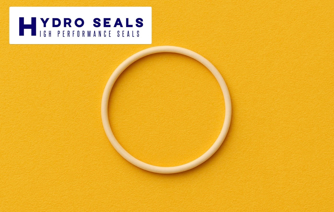 HTCYページ OIL SEAL TC NBR -Hydro Seals India, Chennai