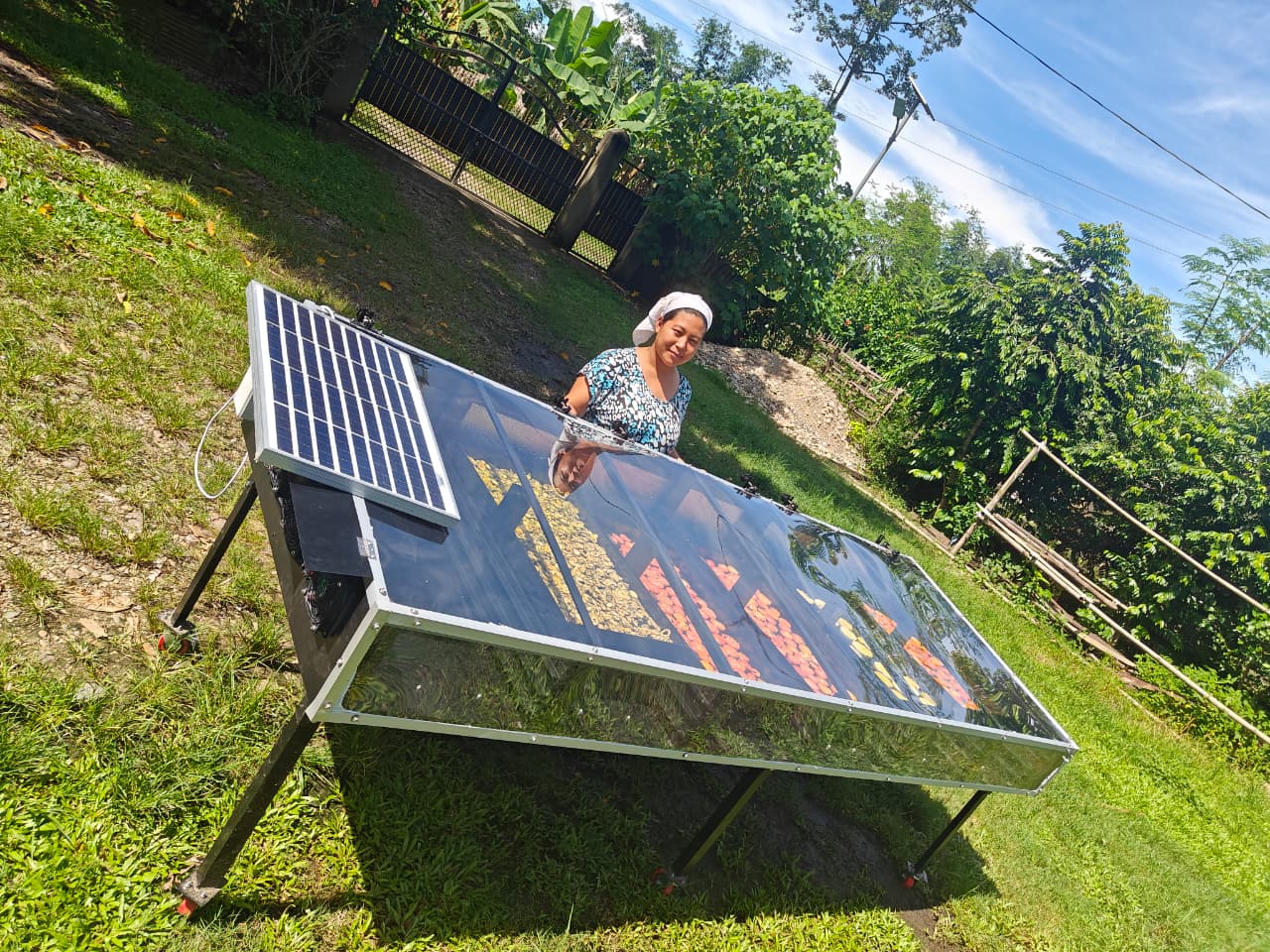 # ⭐ **Solar Strawber