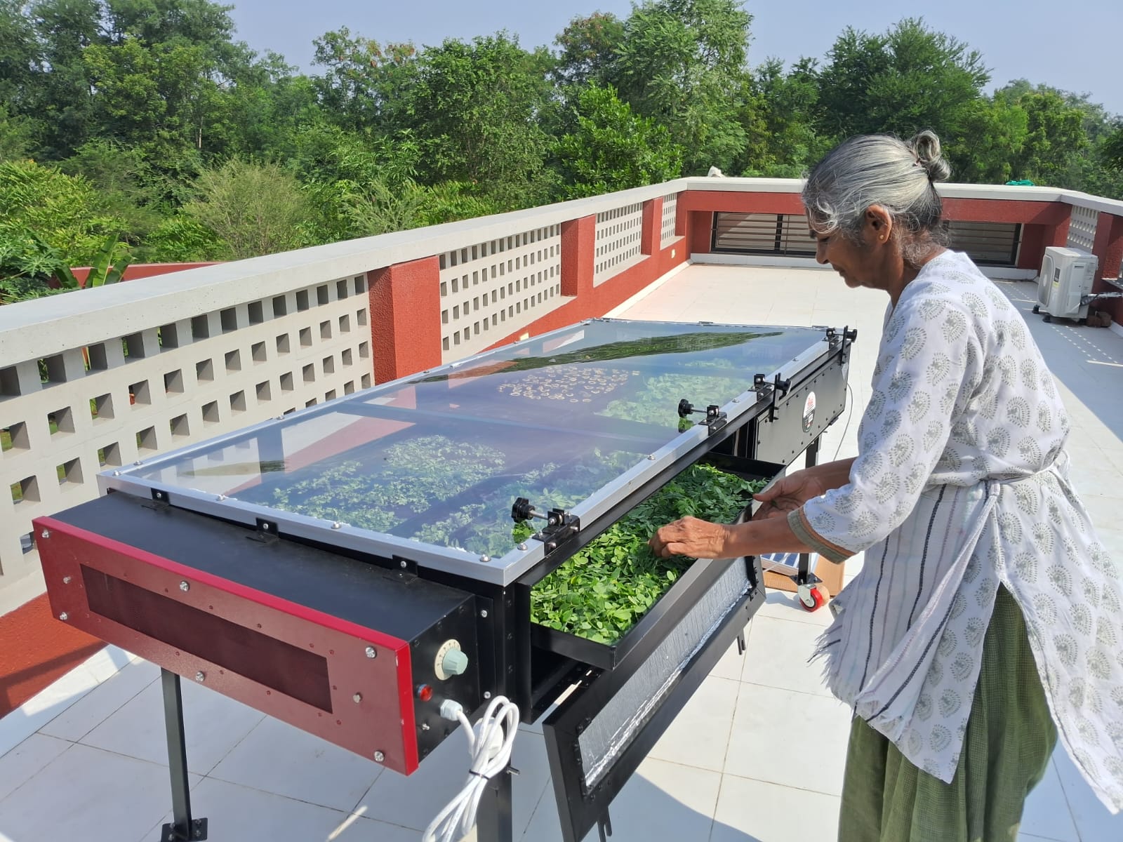 # **Solar Beetroot D