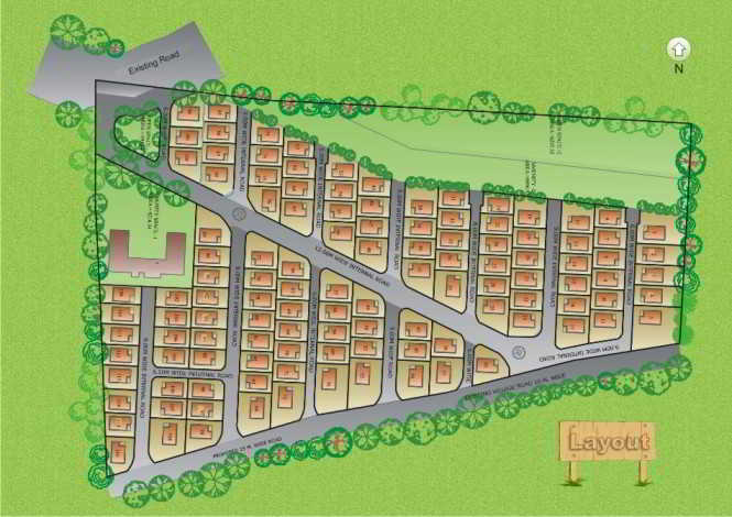 Layout Designing & Development