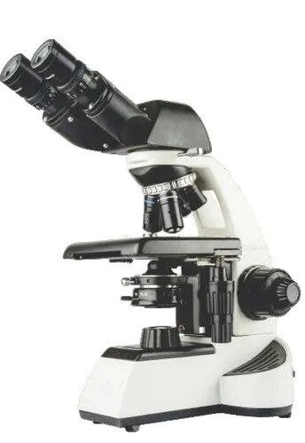 A binocular microsco