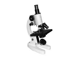 A microscope consist
