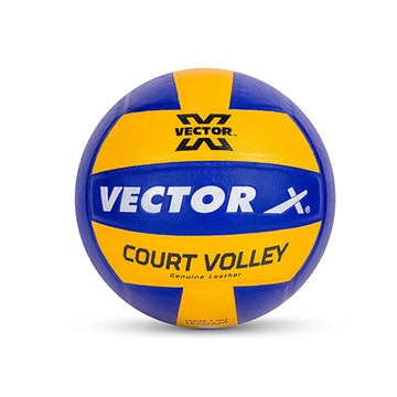 Vector X is one of t