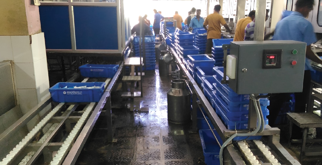 Crate Chain Conveyors