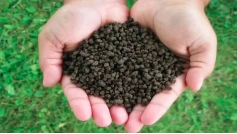 Bio Fertilizers, Agr