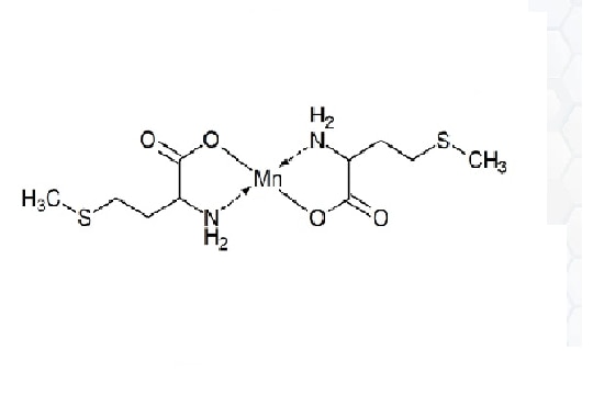 Manganese Methionine image 1
