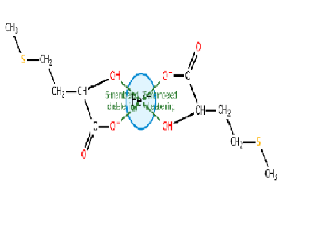 Iron MHA (Iron Methionine Hydroxy Analogue) Chelate image 1