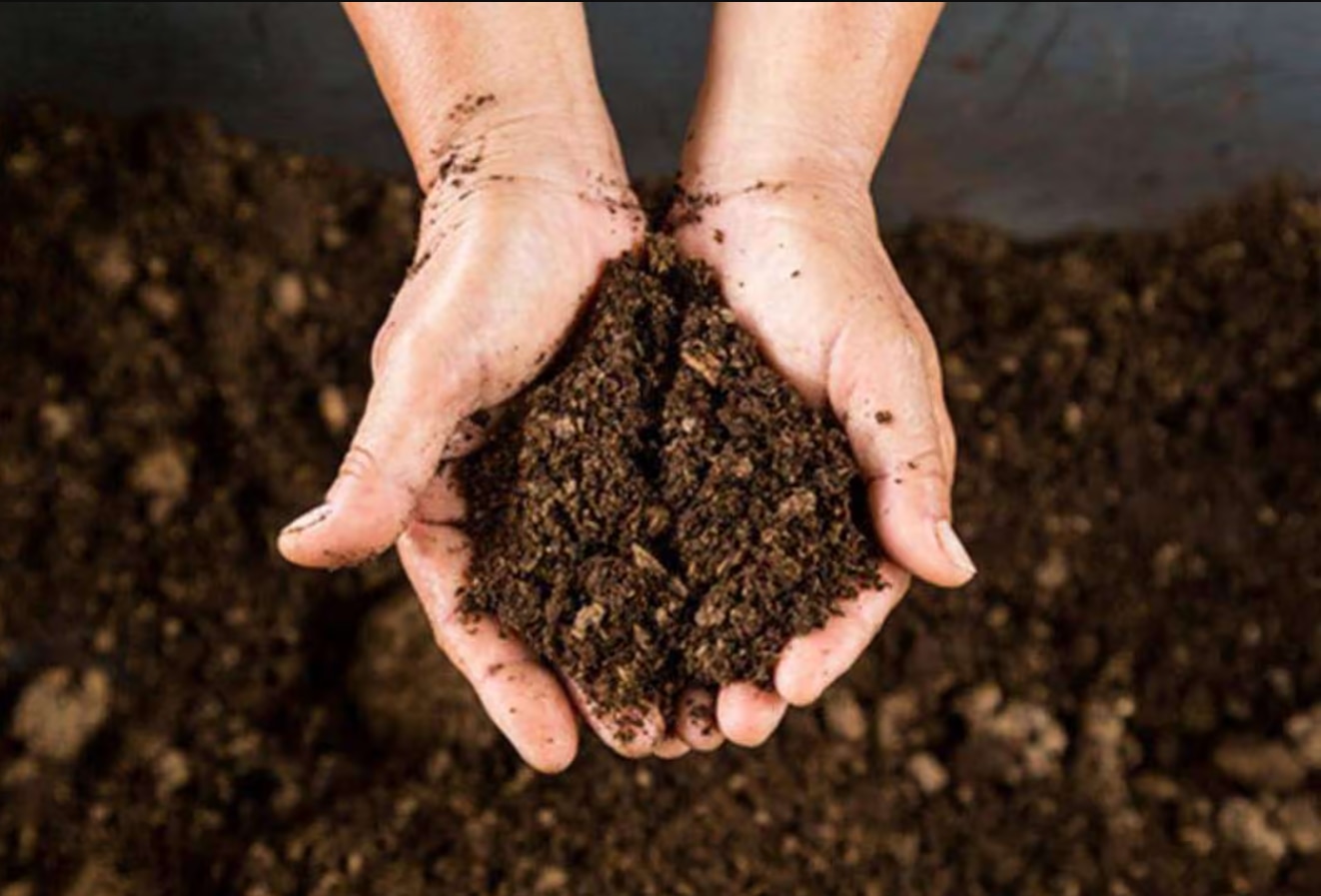 Organic fertilizer m