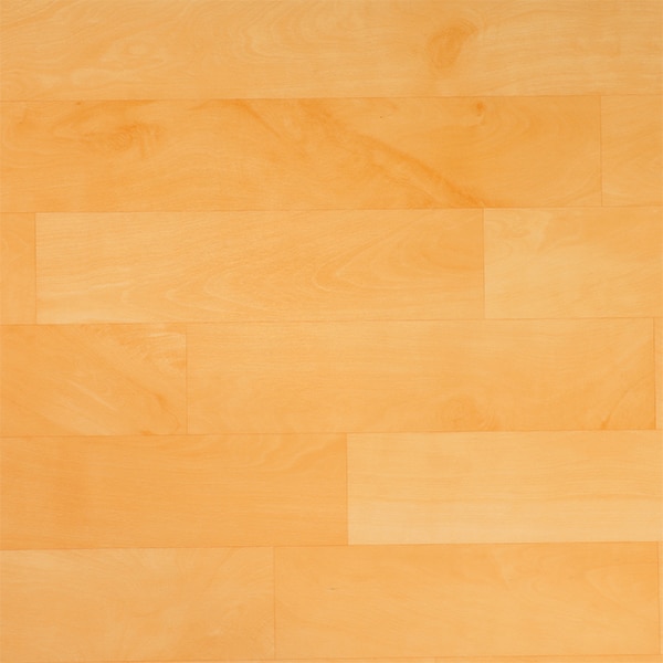 Adventus image 1