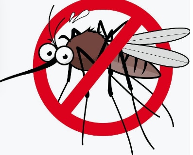 Professional Mosquit