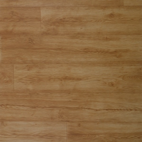 GALAXXY 216606 image 1
