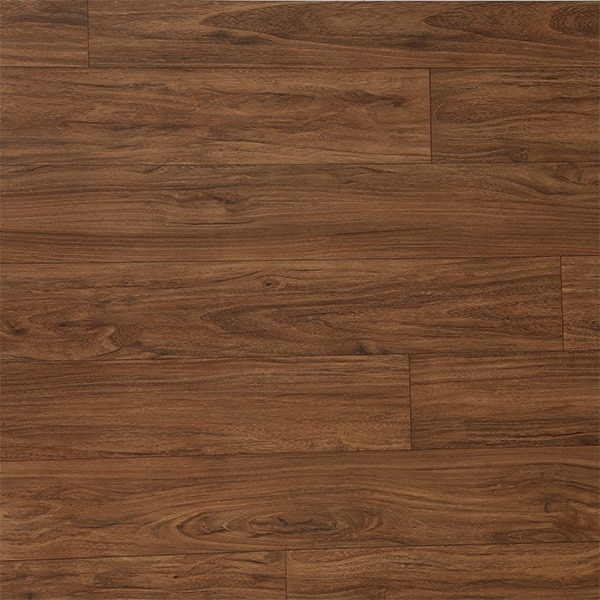 GDP 554404 image 1