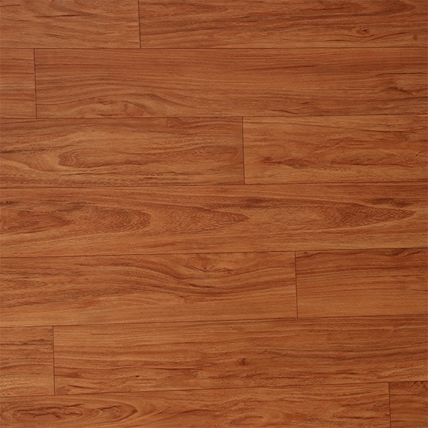 GDP 554406 image 1