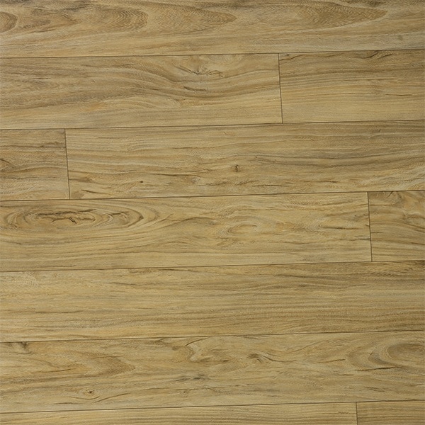 GDP 554410 image 1