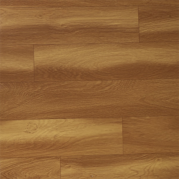 GDP 555404 image 1